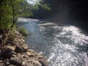 grey-eagle-pool-horseshoe-bar-preserve-3