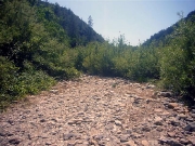 grey-eagle-pool-horseshoe-bar-preserve-path-below-gray-eagle-1