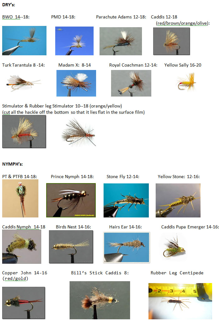 Flies to Use on the American River | Horseshoe Bar Fish & Game Preserve ...